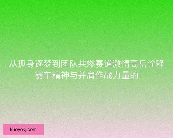 从孤身逐梦到团队共燃赛道激情高岳诠释赛车精神与并肩作战力量的