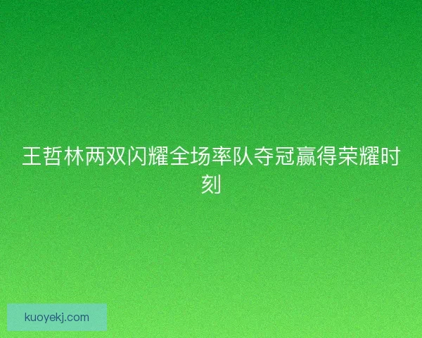 王哲林两双闪耀全场率队夺冠赢得荣耀时刻 王哲林两双闪耀全场率队夺冠赢得荣耀时刻